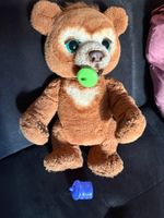 Interaktiver Teddybär wo sich bewegt