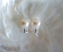 Ohrclips, weisse Süsswasserperle, ca. 11mm
