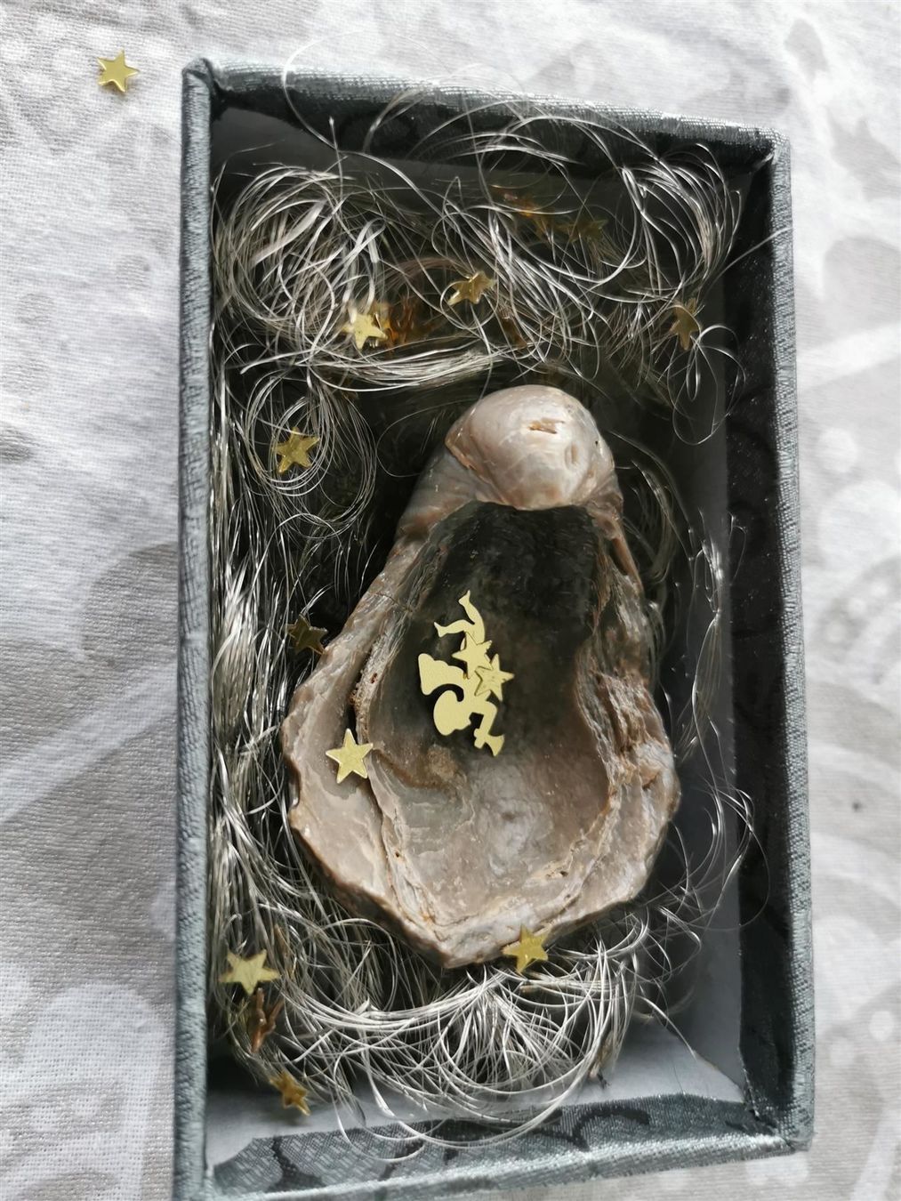 Fossili: Gryphaea arcuata als Geschenk – Usato da Olten venduto da smiples 6