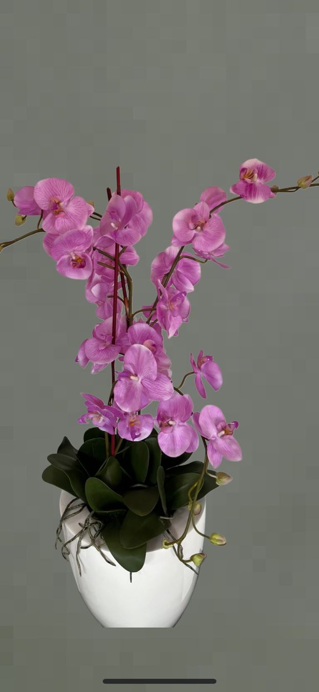 Piante & sementi: Kunstpflanze Orchideen im Topf – Nuovo e nell'imballaggio originale da Emmen venduto da codici 1