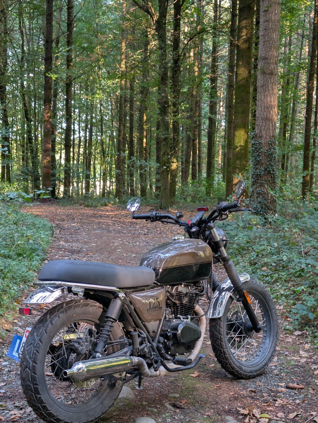 Brixton Motorcycles Strada: BRIXTON Cromwell 125 ABS – Usato da Büren an der Aare venduto da Luechti
