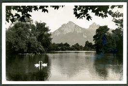 AK sw Bad Ragaz SG Rheinparkanlage,Schwanensee Alvier ≈1945 