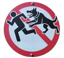HUND - Blechschild  (neu/OVP)