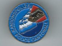 Kantonspolizei Bern Pin