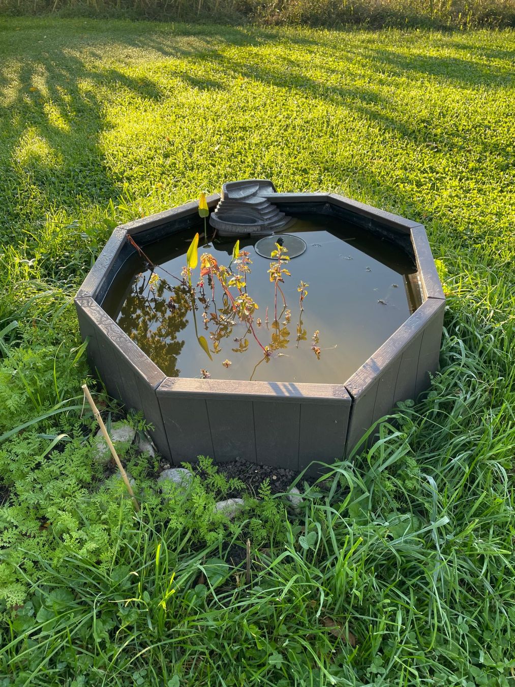 Stagni & Fontane ornamentali: Gartenteich Kunststoff, Prix d'ami – Nuovo (secondo la descrizione) da Oberbipp venduto da lgb_2s2b