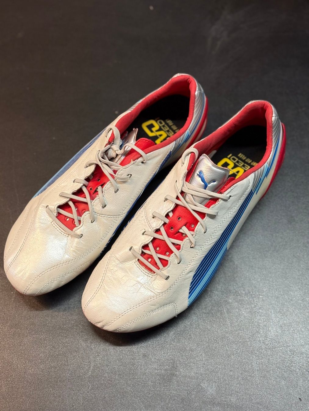 Herrenschuhe: Puma evo speed – Neu (gemäss Beschreibung) aus Thusis von Strimer0