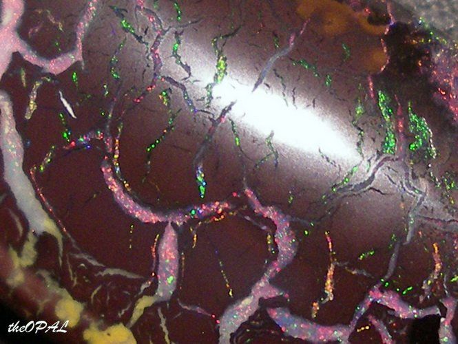 Pietre preziose: theOPAL *** TOLLER MATRIX BOULDER OPAL 19,63ct *** – Nuovo e nell'imballaggio originale da Ebnat-Kappel venduto da theOPAL