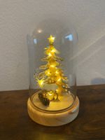 Décoration hivernal sous cloche