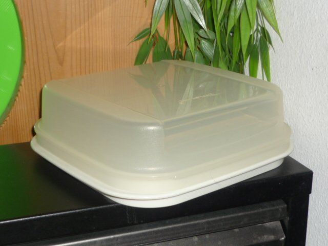Tupperware Behälter & Ähnliches: TUPPERWARE 17X17 CM. H. 6 CM. CA. – Gebraucht aus St.Gallen von Anso 2