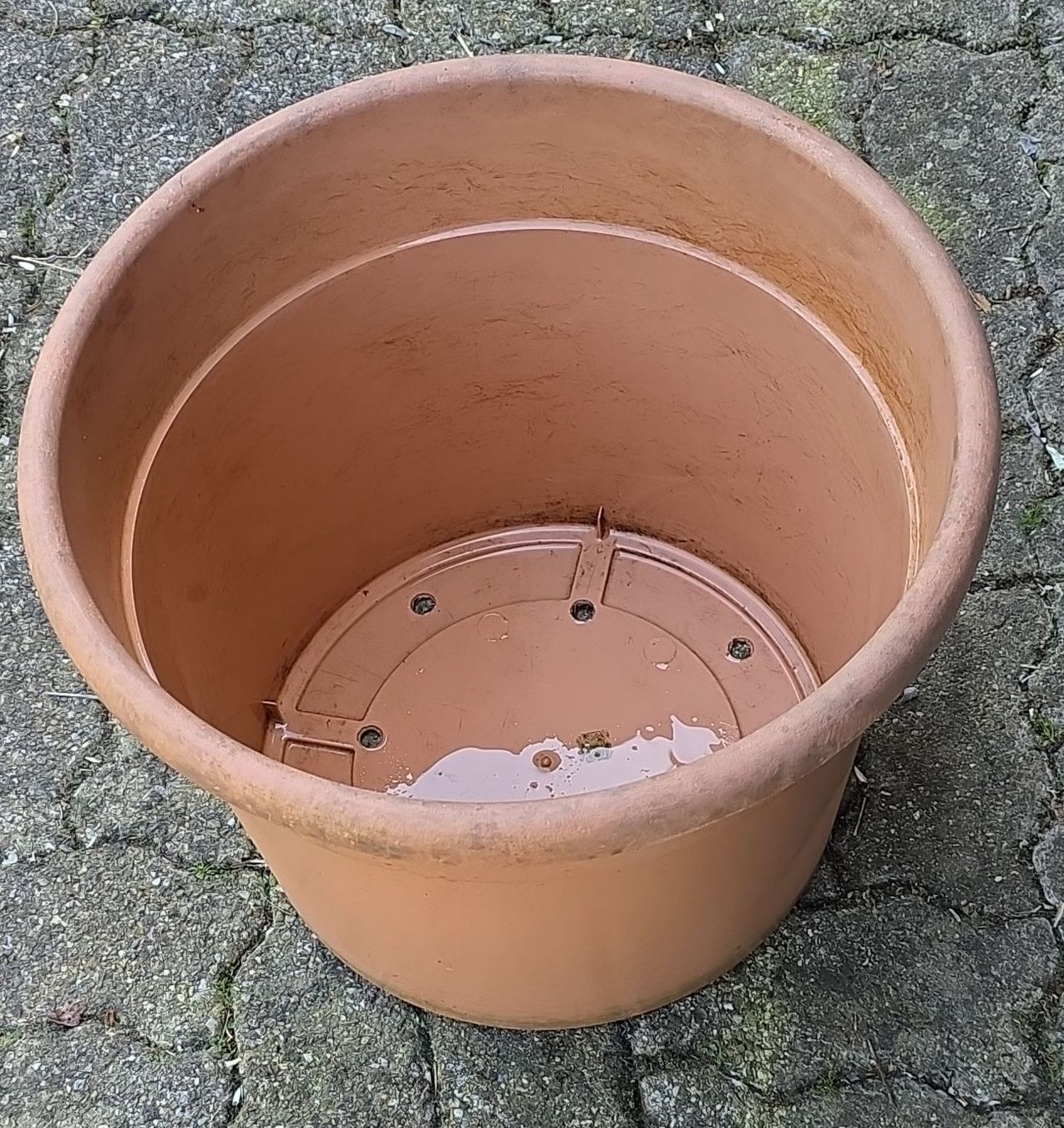Vasi per fiori: Large plastic plant pot. – Usato da Hinwil venduto da Ehretstock8