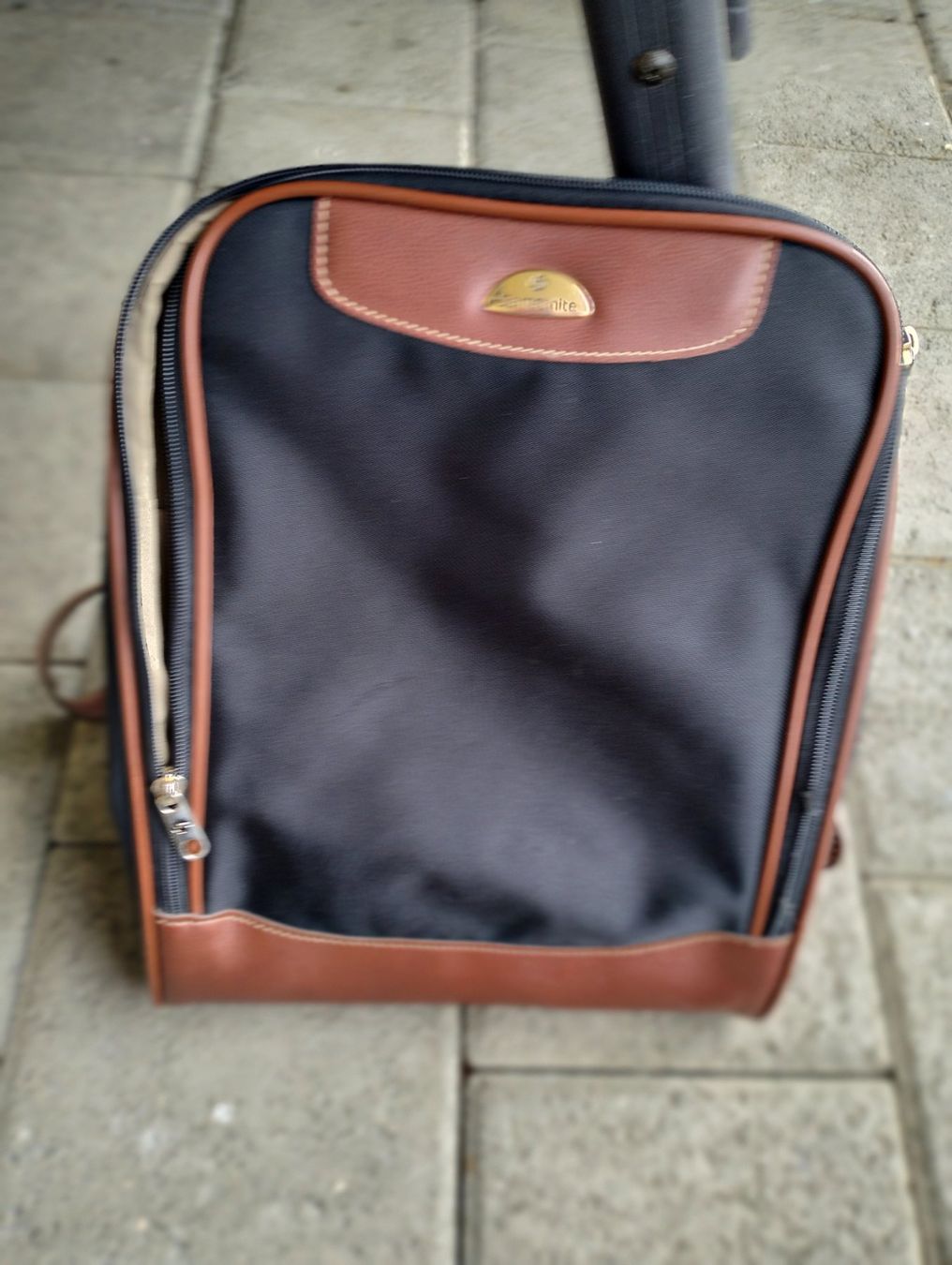 Samsonite Zaini: Samsonite Rucksack – Usato da Brüttisellen venduto da mar_vw67