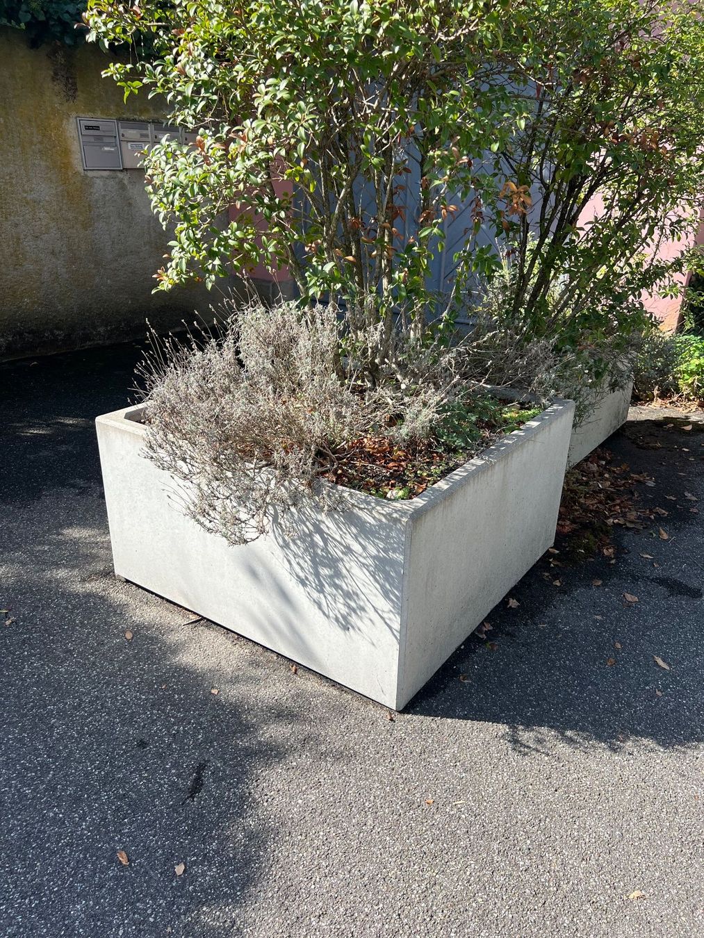 Pots de fleurs: Beton Pflanztrog – D'occasion à Solothurn par MABO05