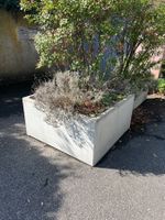 Beton Pflanztrog