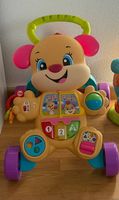Fisher-Price Lernlaufwagen 