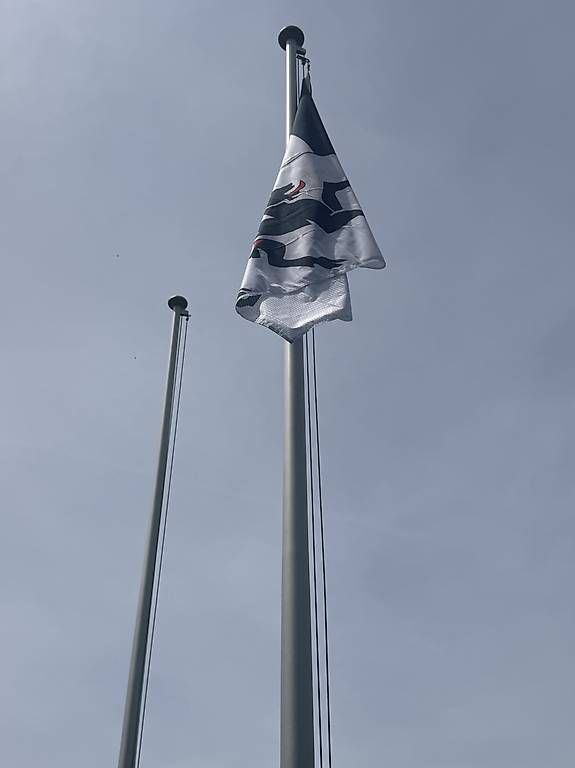 Drapeaux: 2 Fahnenstangen – D'occasion à Basel par Scheia