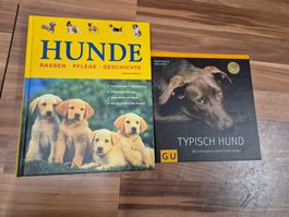 Hunde-Buch: Rassen, Pflege und Geschichte - k4
