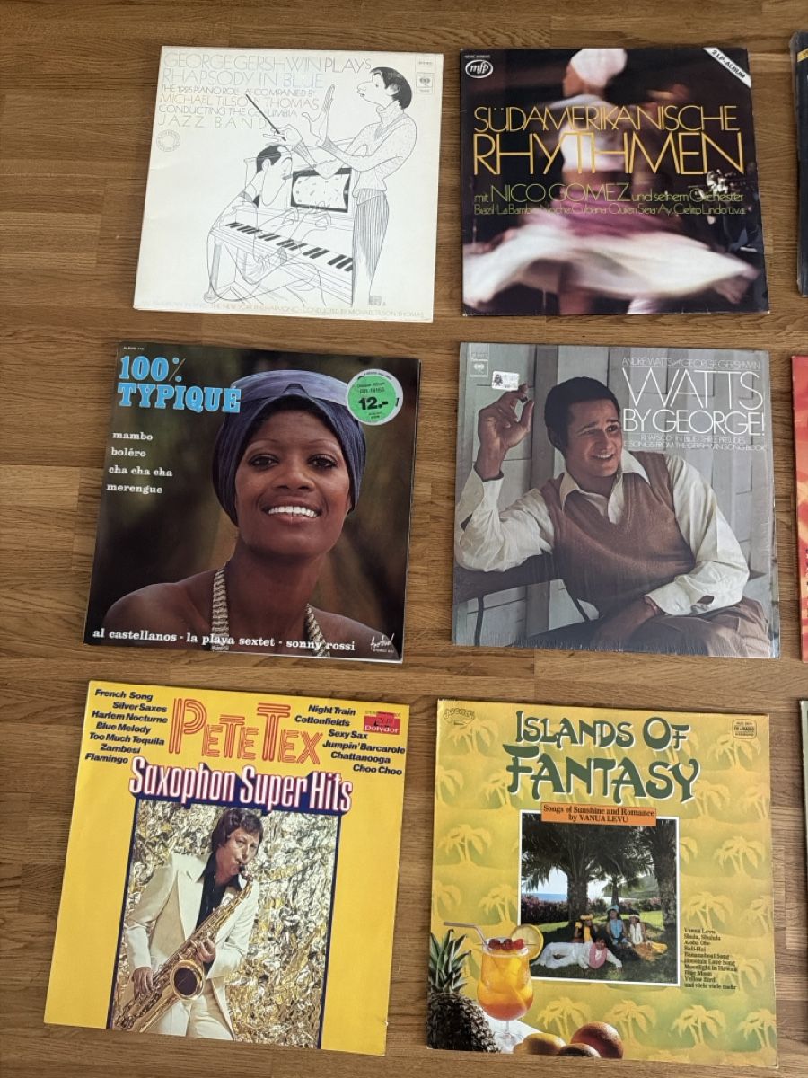 Dischi in vinile: Schallplatten-Set – Usato da Buchs ZH venduto da scarah 1