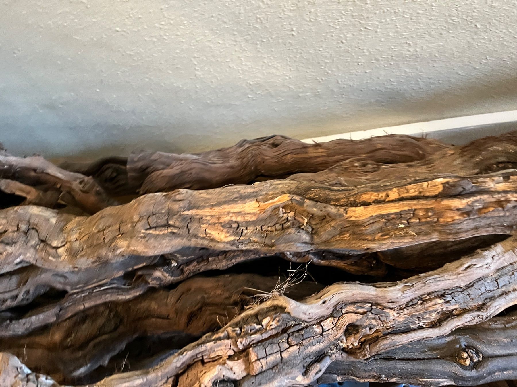 Terrario: Terrarium Rebenholz – Usato da Weisslingen venduto da Eniclote