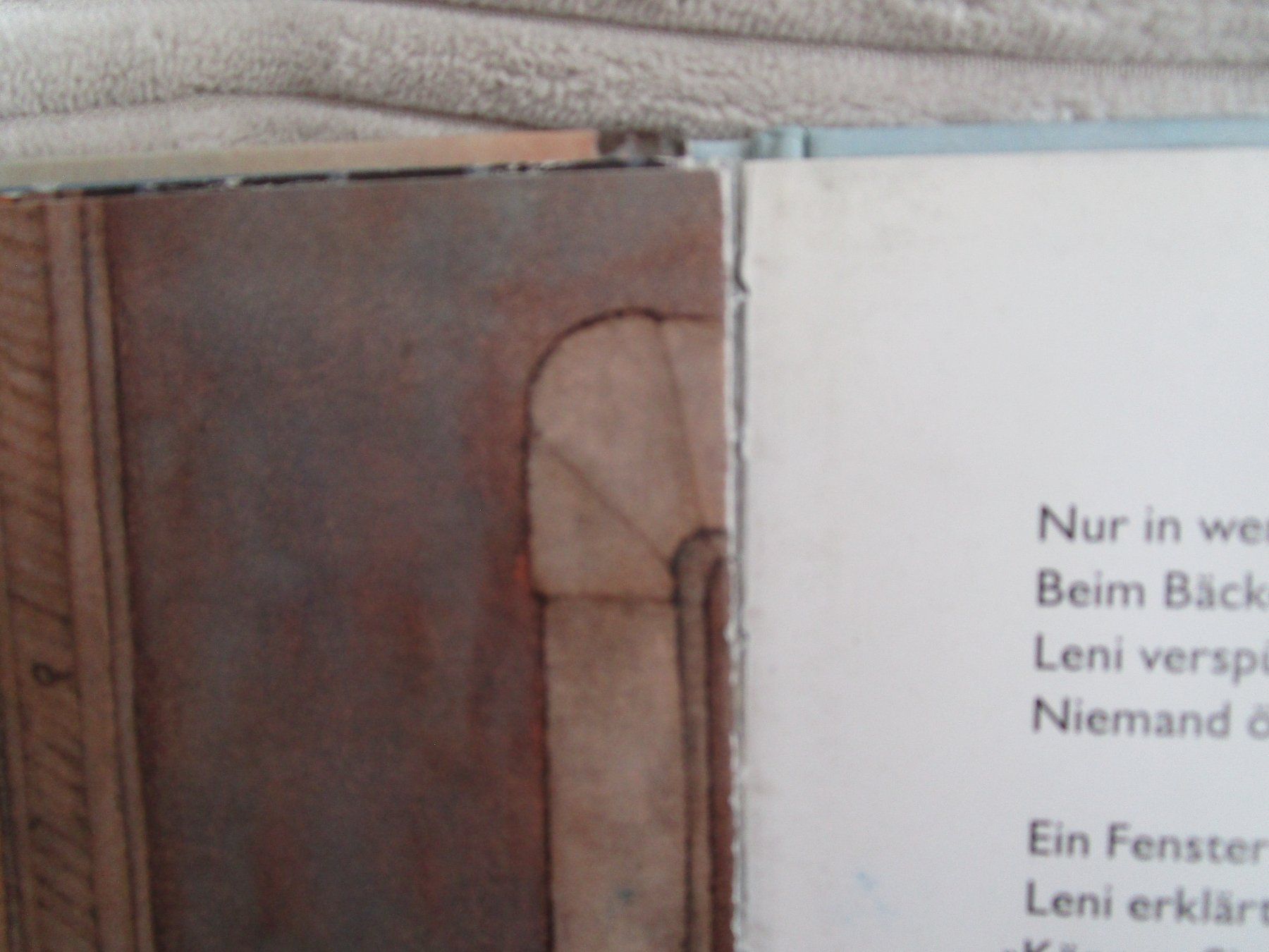 Bücher: Kinderbuch: Leni holt Hilfe - – Gebraucht aus Scuol von Luana.. 5
