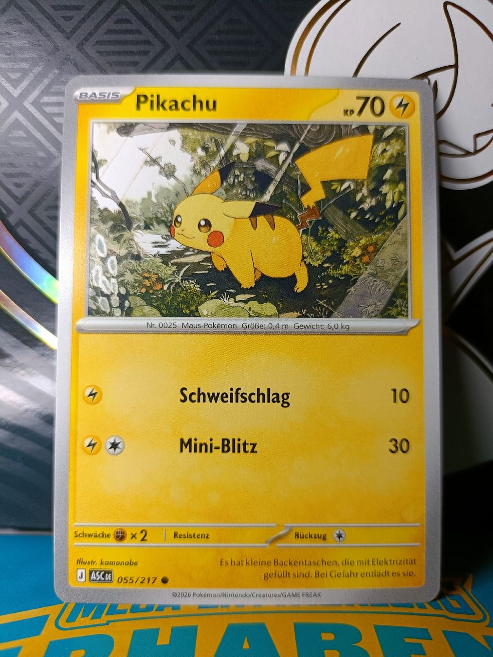 Pokémon Carte collezionabili: Pikachu Acended heros (DE) – Usato da Zürich venduto da Sysyem-pokemon