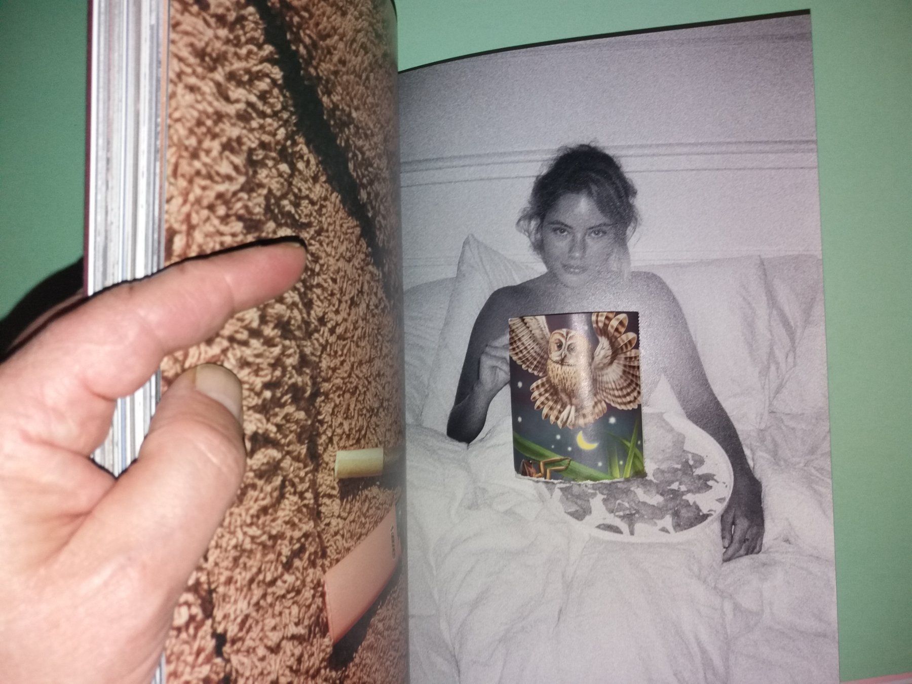 Henrik PURIENNE Tasjaki Fotoklassiker (D'occasion) à