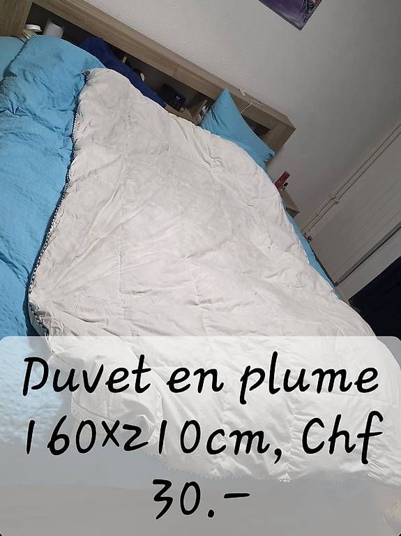 Couvertures: Duvet en plume  – D'occasion à Le Sentier par dtr_9hyj 1