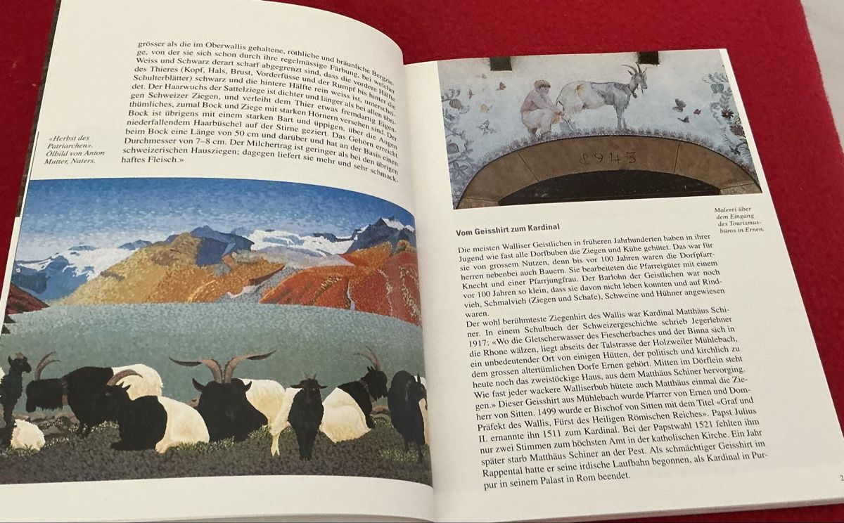Libri: Walliser Schwarzhalsziegen - Christian Zufferey – Usato da Crans-Montana venduto da plainemorte 2