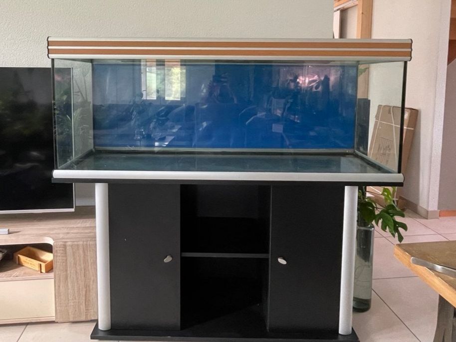 Aquarium: Aquarium 400l avec meuble et accessoires divers – Gebraucht aus Estavayer-le-Gibloux von Petitpierretheo