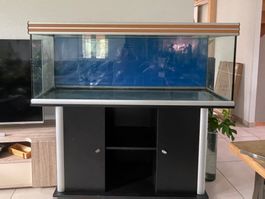 Aquarium 400l avec meuble et accessoires divers