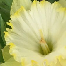 Profile image of Maurer_k