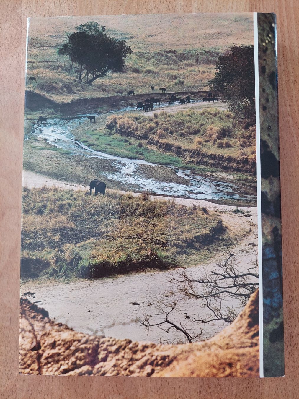 Libri: Zoo - Afrique orientale – Usato da Yverdon-les-Bains venduto da pri_x6j6 6