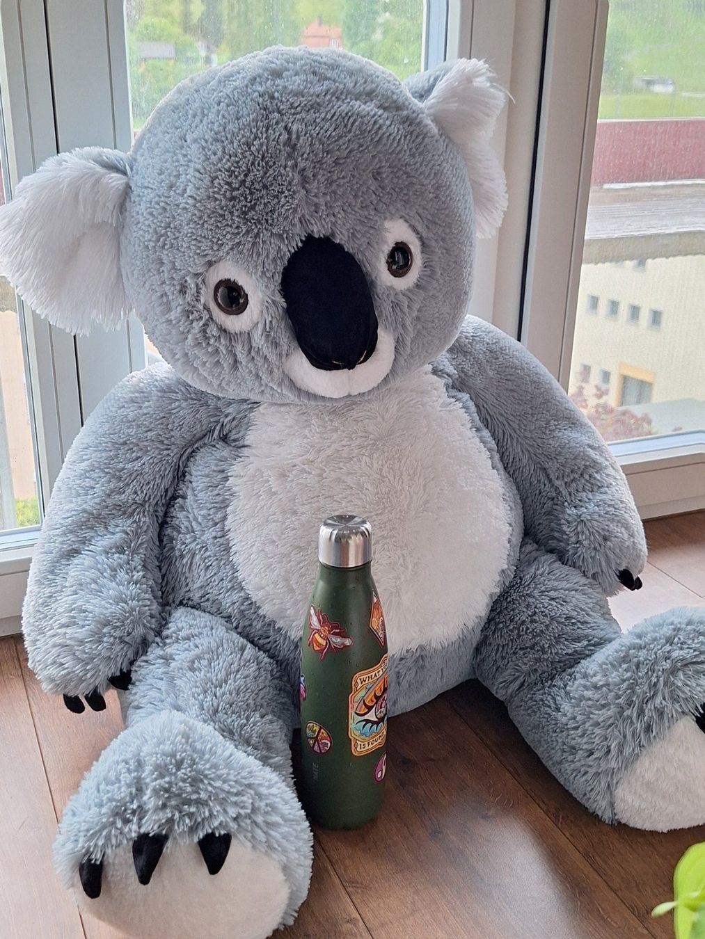 Giocattoli: Grosses Koala Plüschtier – Usato da Urnäsch venduto da windowhead 2