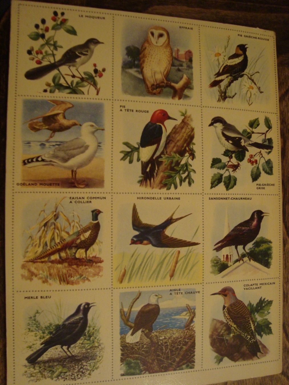 Alben: Les oiseaux – Gebraucht aus Fribourg von ruswil007 1
