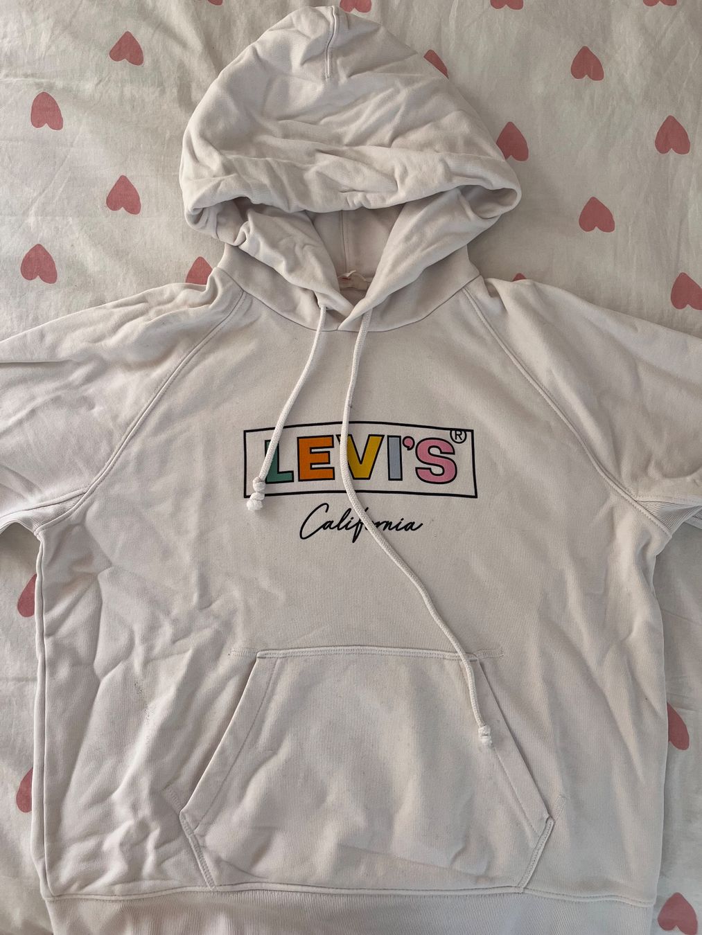 Levi's Maglioni & Felpe: LEVIS hoodie unworn 😄 – Usato da Winkel venduto da rafaela_p