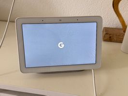 Google Nest Hub