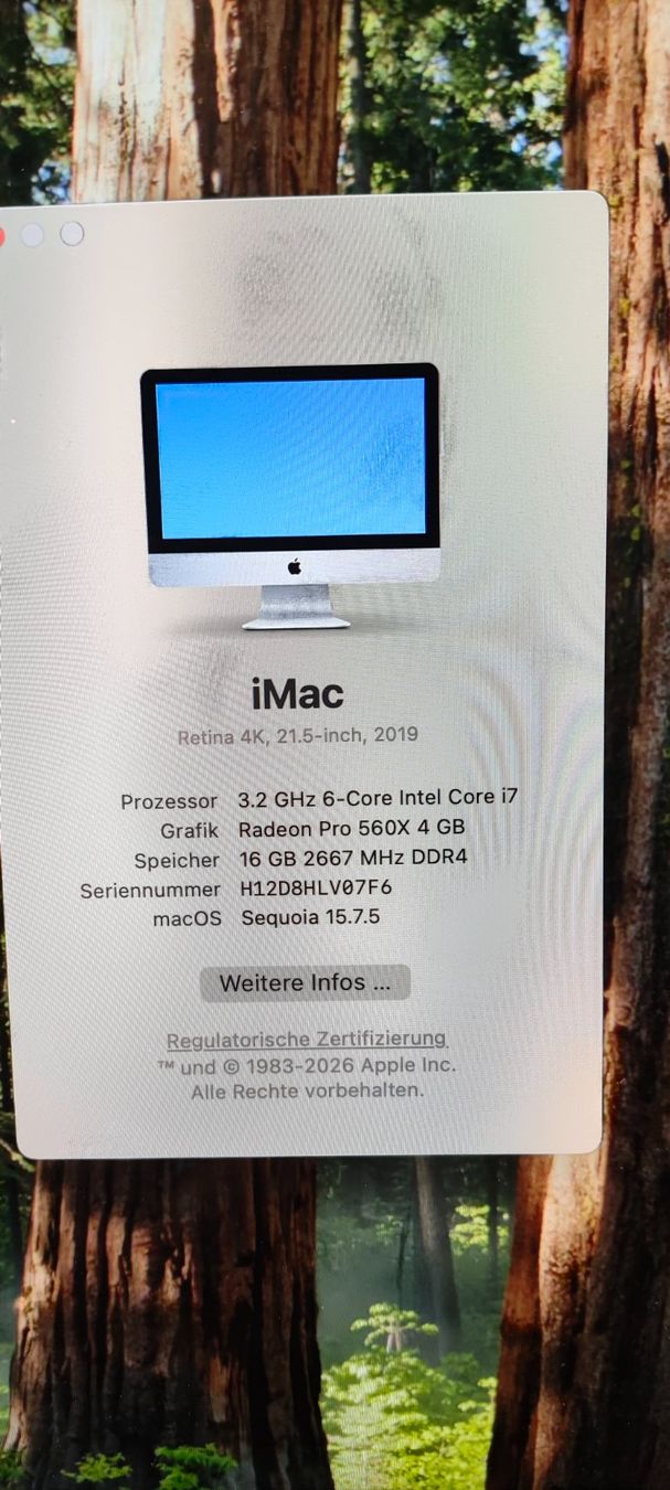 Apple PCs: iMac 2019 - 21.5" - i7 - 16gb - 1TB – Gebraucht aus Wetzikon ZH von raand 1