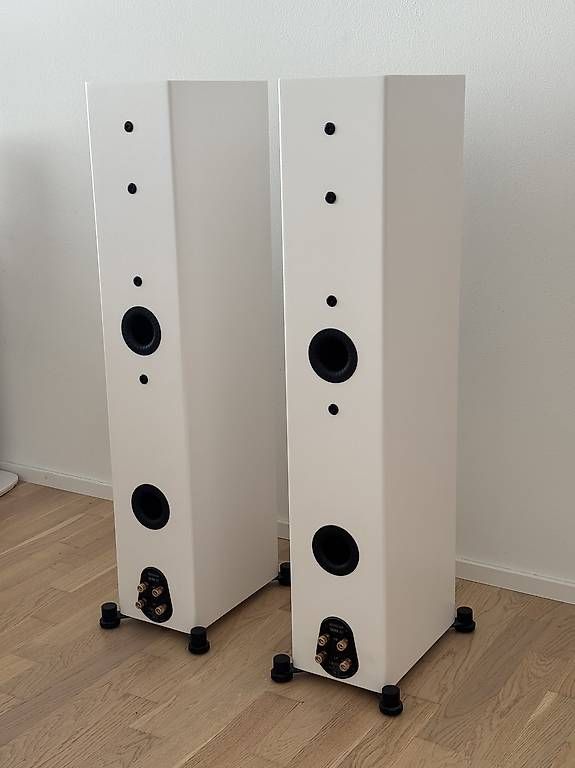 Casse acustiche: Monitor Audio Silver 300 floorstanding loudspeaker – Usato da Basel venduto da DanWa 2