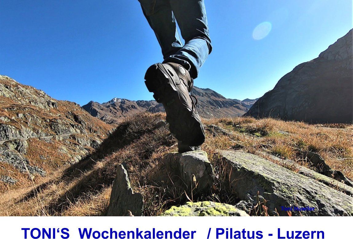 Calendriers: Wochenkalender 52 Wochen Zeitlos – Neuf avec emballage d'origine à Ebikon par huwmech