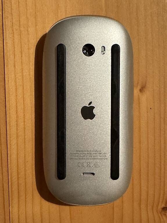 Mouse: Apple Magic Mouse – Usato da Winterthur venduto da RajivS 1
