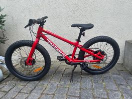 BIKE Thömus Youngrider 20