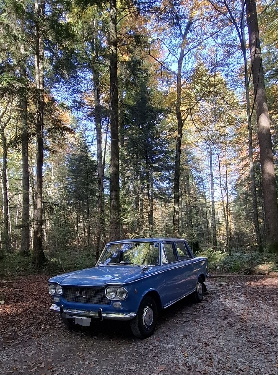 Fiat Autos: Oldtimer-Bar  – D'occasion à Buochs par TodoAlles 4