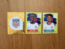 Panini Sticker USA