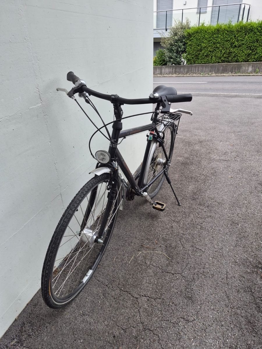 Crosswave Biciclette: Crosswave Velo – Usato da Hofstetten SO venduto da Smari6