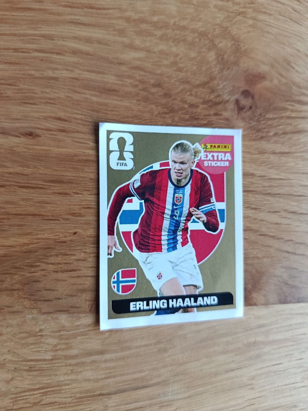 Panini Cartes à collectionner: extra stickers Gold Haaland – Neuf (Voir description) à Broc par boris.privet