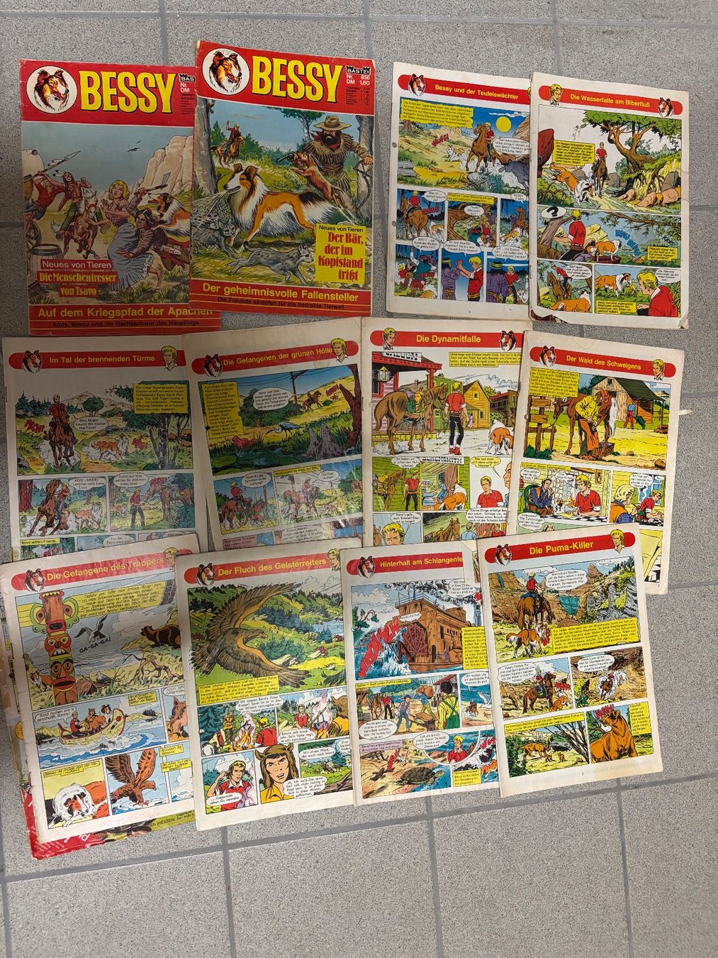 Fumetti: Bessy Hefte – Usato da Glis venduto da Lisal 3