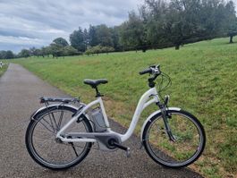 E-Bike Flyer 36 V NG  110 KM Akku Fahrbereit