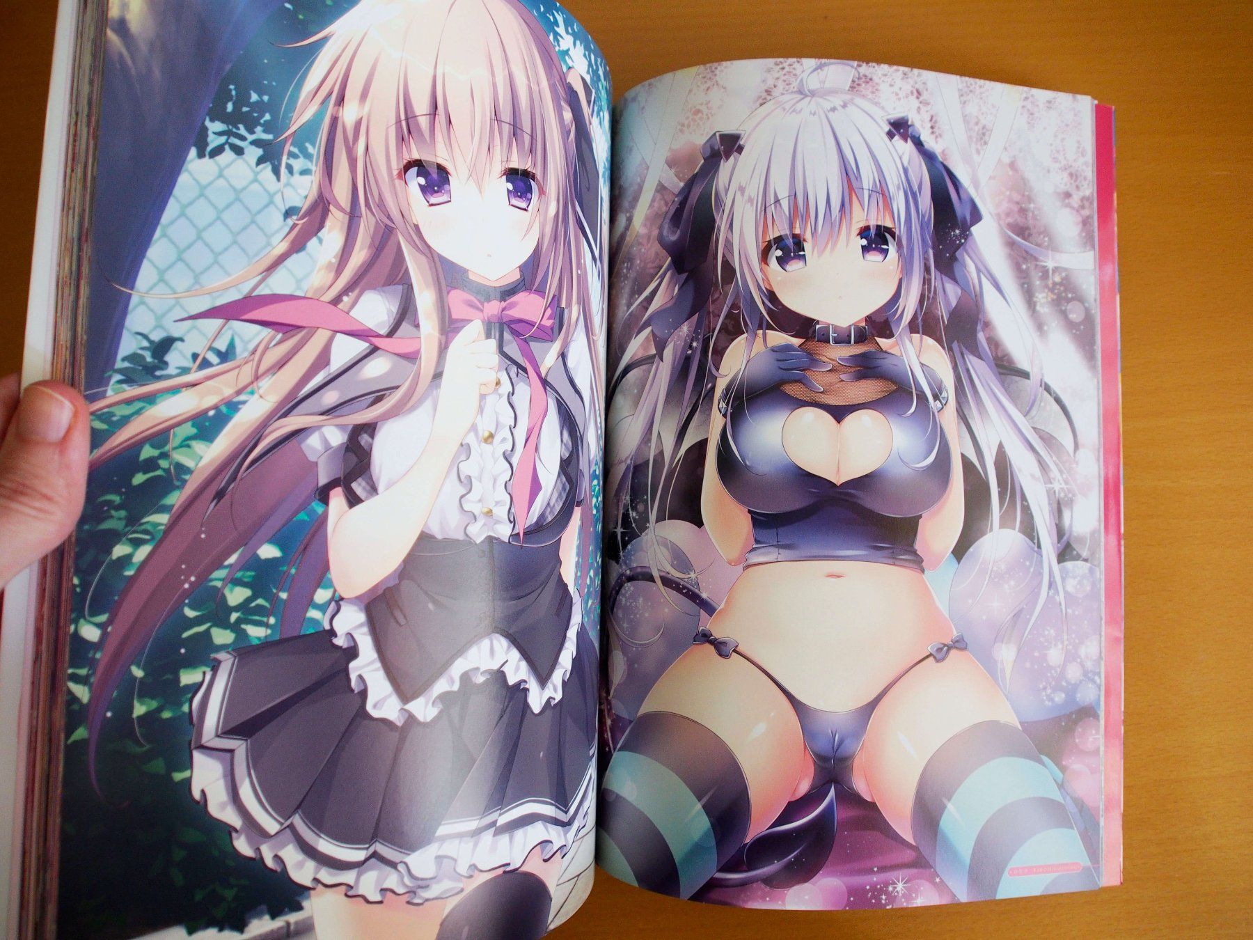 Libri: Moeho Selection Pretty Mode 10 (Artbook) – Usato da Winistorf venduto da raziel66 2