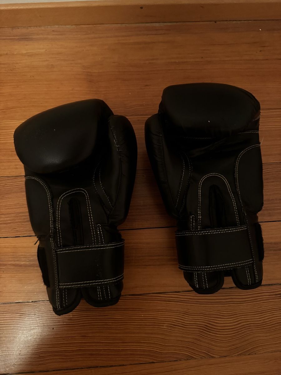 Handschuhe & Handstulpen: Hamme Boxhandschuhe 10-OZ – Gebraucht aus Zürich von Leined 1