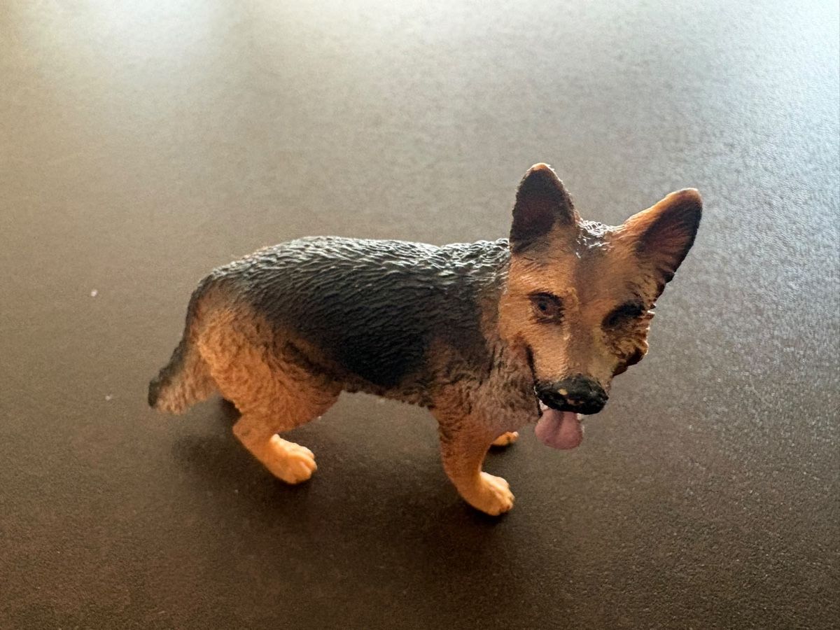 Schleich Jouets: Robbenfamilie und andere Tiere – D'occasion à Walchwil par Pirib82 2