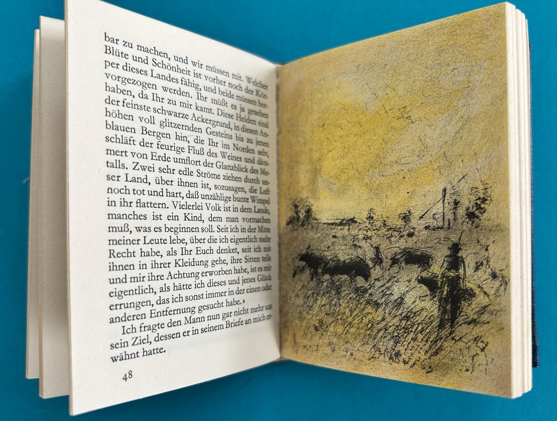Libri: Kleines DUO BUCH in Leder – Usato da Zürich venduto da Domus09 5